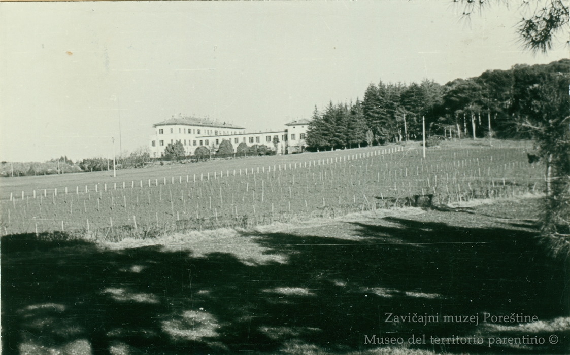 Image description